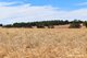 Photo - 950 Bokerup Road, Frankland River WA 6396 - Image 21