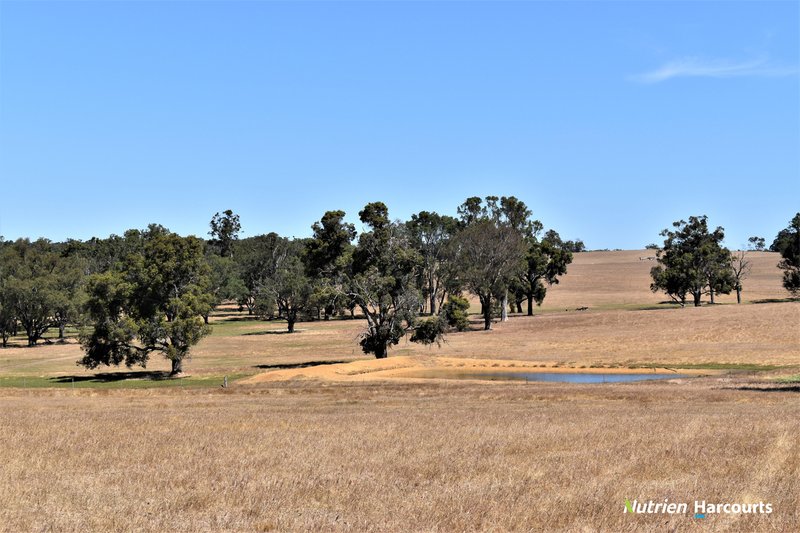 Photo - 950 Bokerup Road, Frankland River WA 6396 - Image 22