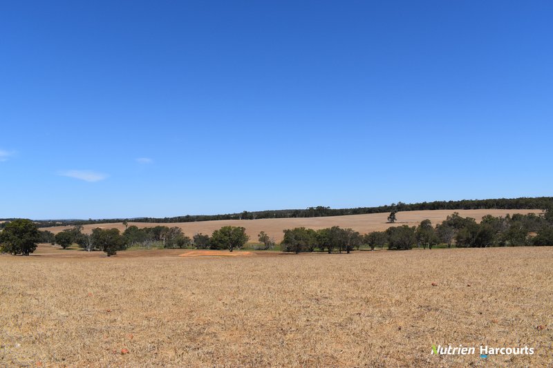 Photo - 950 Bokerup Road, Frankland River WA 6396 - Image 23