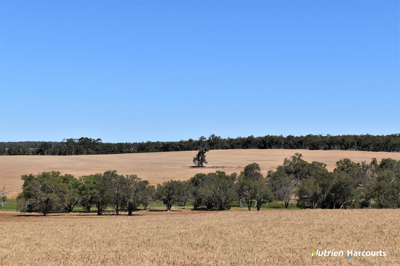 Photo - 950 Bokerup Road, Frankland River WA 6396 - Image 24