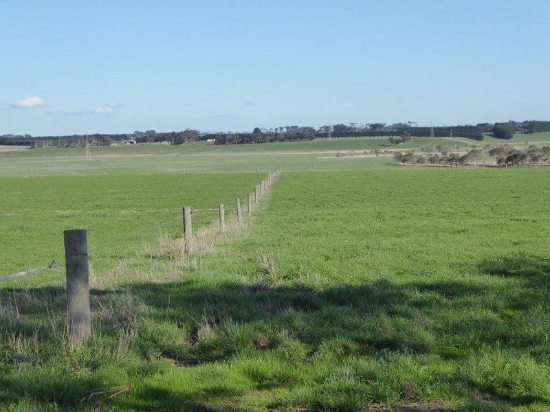 Photo - 950 Castle Carey Road, Terang VIC 3264 - Image 3