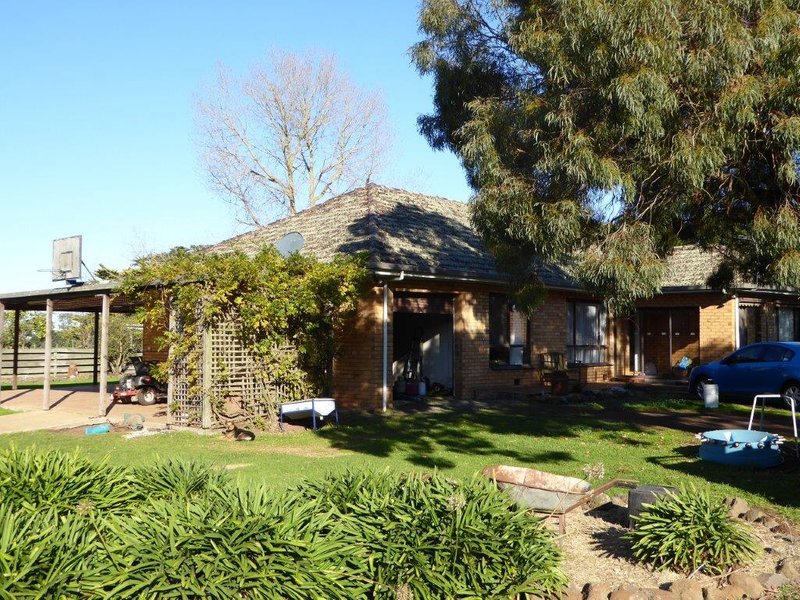 Photo - 950 Castle Carey Road, Terang VIC 3264 - Image 4