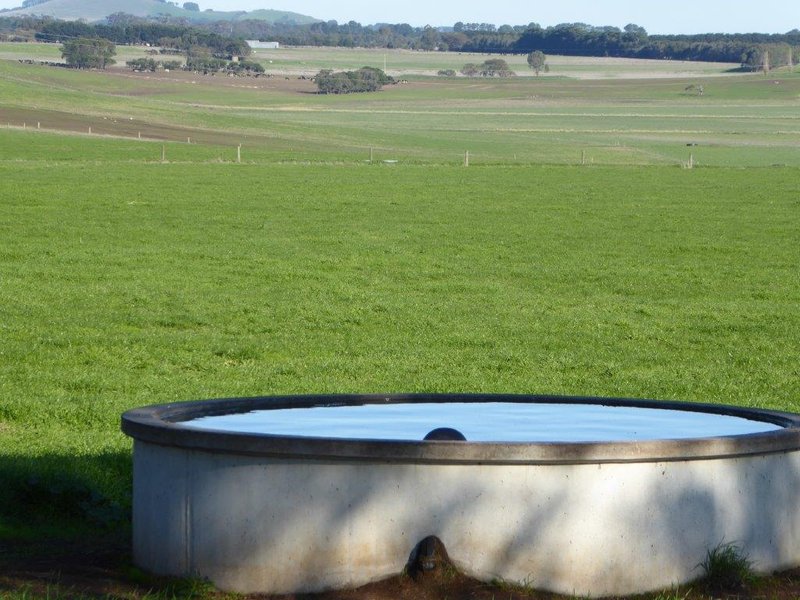 Photo - 950 Castle Carey Road, Terang VIC 3264 - Image 5