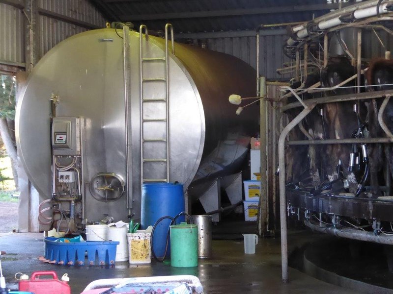 Photo - 950 Castle Carey Road, Terang VIC 3264 - Image 8