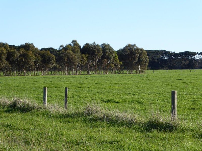 Photo - 950 Castle Carey Road, Terang VIC 3264 - Image 10