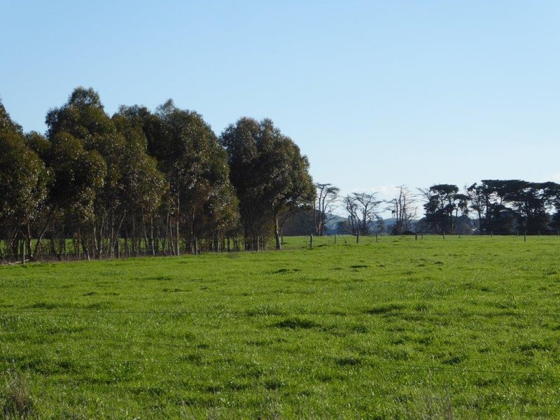 Photo - 950 Castle Carey Road, Terang VIC 3264 - Image 11