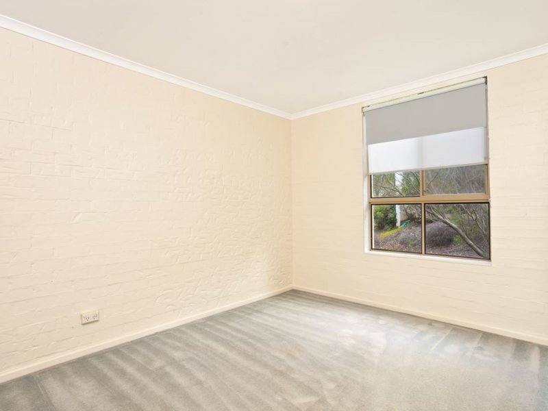 Photo - 9/50 Leahy Close, Narrabundah ACT 2604 - Image 8