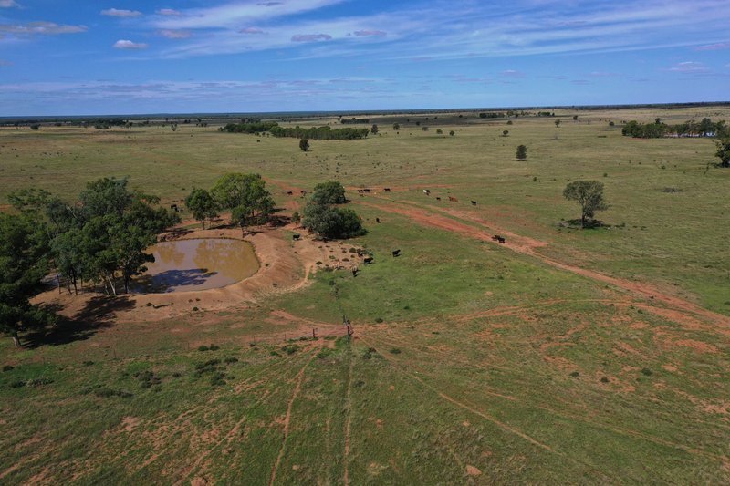Photo - 952 Yuleba Surat Road, Yuleba QLD 4427 - Image 3