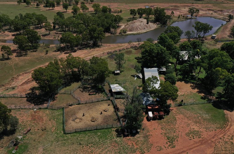 Photo - 952 Yuleba Surat Road, Yuleba QLD 4427 - Image 5