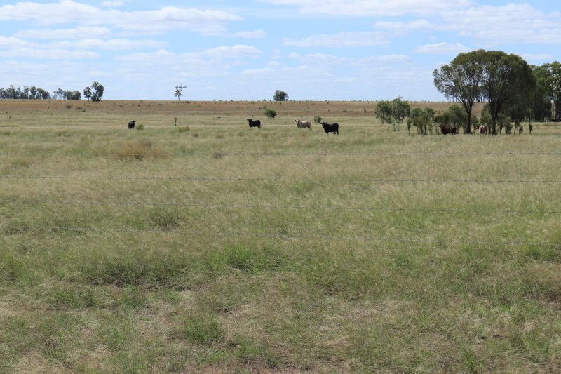 Photo - 952 Yuleba Surat Road, Yuleba QLD 4427 - Image 9