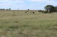Photo - 952 Yuleba Surat Road, Yuleba QLD 4427 - Image 9