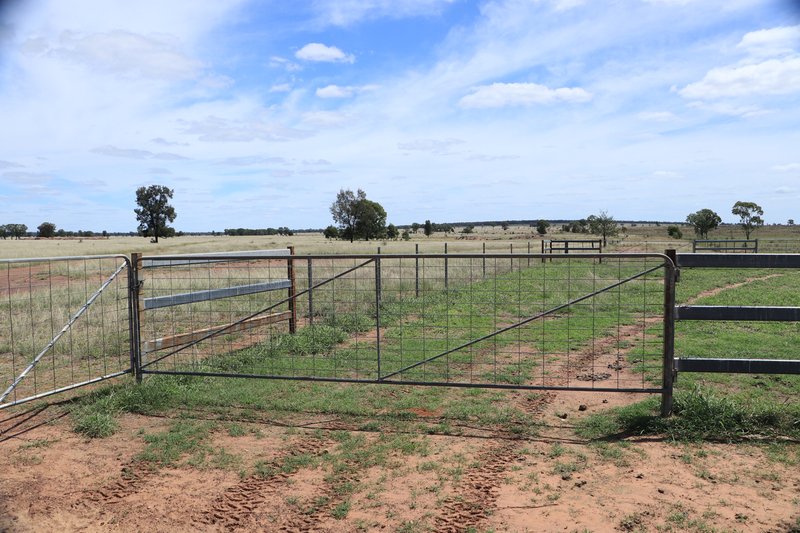 Photo - 952 Yuleba Surat Road, Yuleba QLD 4427 - Image 11
