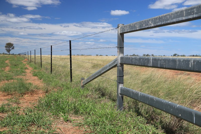 Photo - 952 Yuleba Surat Road, Yuleba QLD 4427 - Image 12