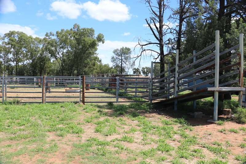 Photo - 952 Yuleba Surat Road, Yuleba QLD 4427 - Image 14