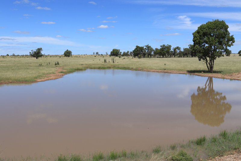 Photo - 952 Yuleba Surat Road, Yuleba QLD 4427 - Image 15