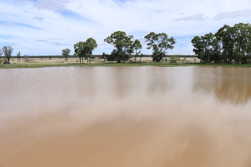 Photo - 952 Yuleba Surat Road, Yuleba QLD 4427 - Image 16