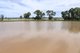 Photo - 952 Yuleba Surat Road, Yuleba QLD 4427 - Image 16