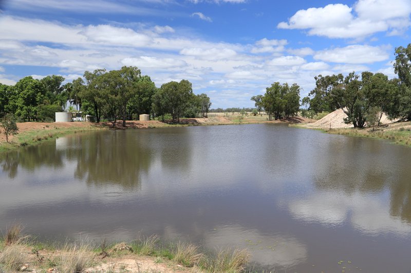 Photo - 952 Yuleba Surat Road, Yuleba QLD 4427 - Image 23