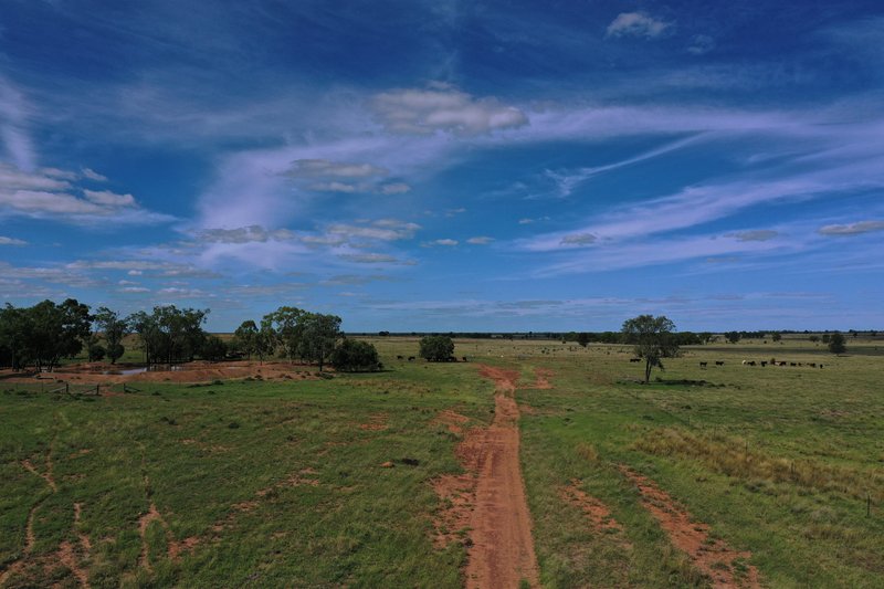 Photo - 952 Yuleba Surat Road, Yuleba QLD 4427 - Image 28