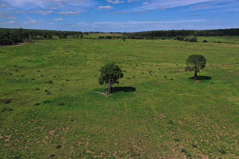 Photo - 952 Yuleba Surat Road, Yuleba QLD 4427 - Image 29