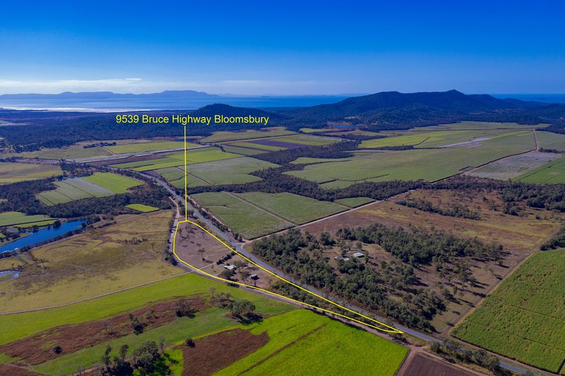 Photo - 9539 Bruce Highway, Bloomsbury QLD 4799 - Image 18