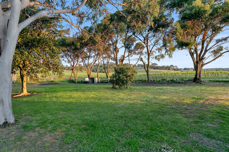 Photo - 955 Stockwell Road, Vine Vale SA 5352 - Image 26