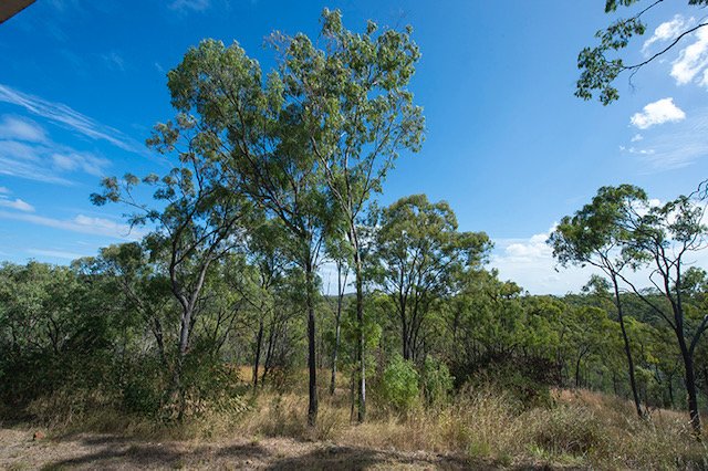 Photo - 956 Glenlyon Road, O'Connell QLD 4680 - Image 9