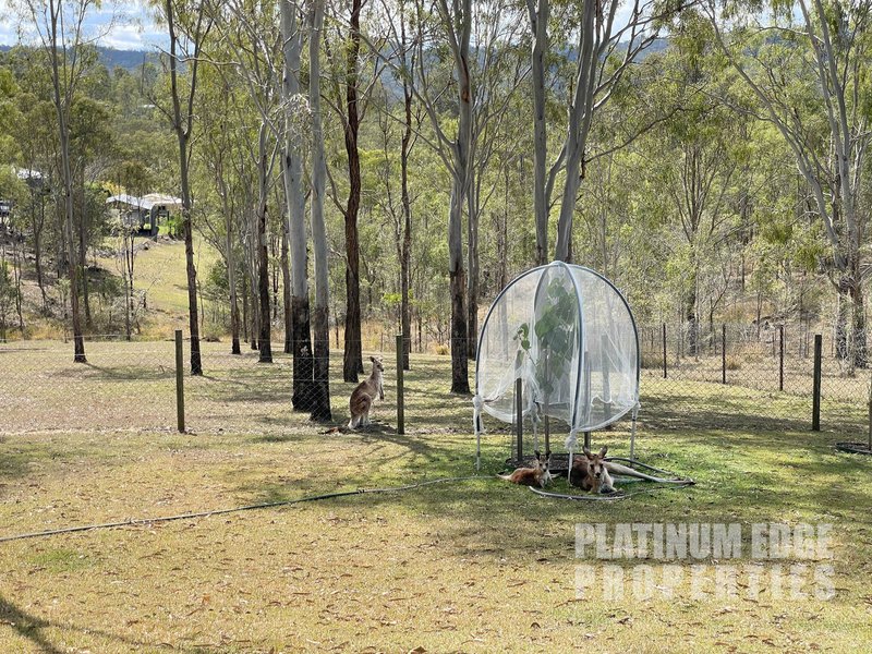 Photo - 96-98 Scarvell Place, Kooralbyn QLD 4285 - Image 19