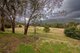 Photo - 96 Arthurs Road, Towrang Via , Goulburn NSW 2580 - Image 13