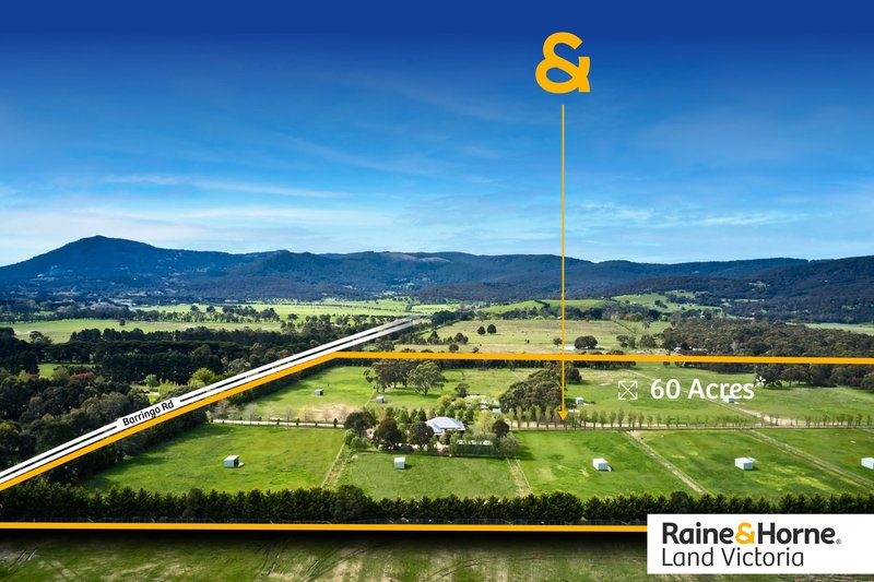 Photo - 96 Barringo Road, New Gisborne VIC 3438 - Image 3
