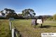 Photo - 96 Barringo Road, New Gisborne VIC 3438 - Image 10