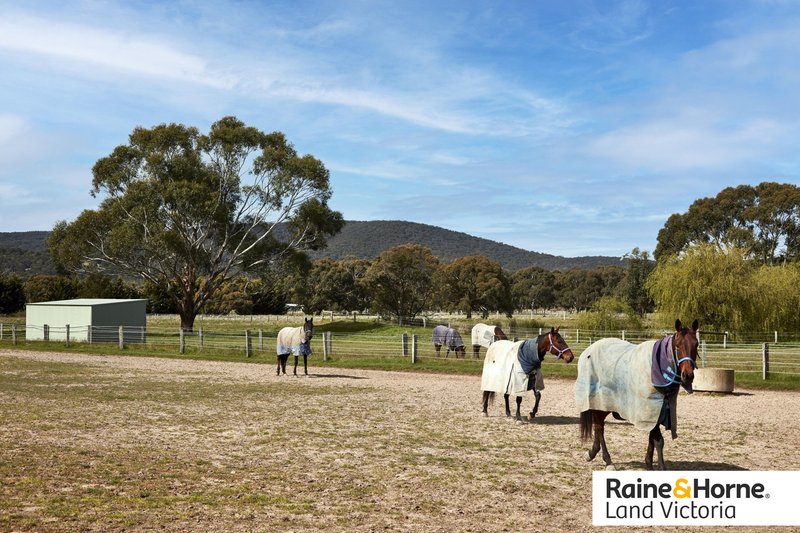 Photo - 96 Barringo Road, New Gisborne VIC 3438 - Image 32