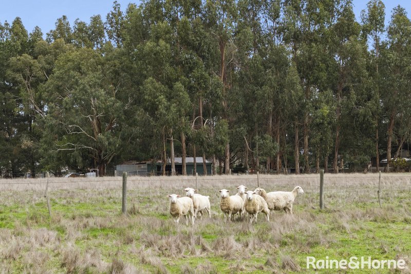 Photo - 96 Baynton Road, Kyneton VIC 3444 - Image 20