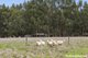 Photo - 96 Baynton Road, Kyneton VIC 3444 - Image 20