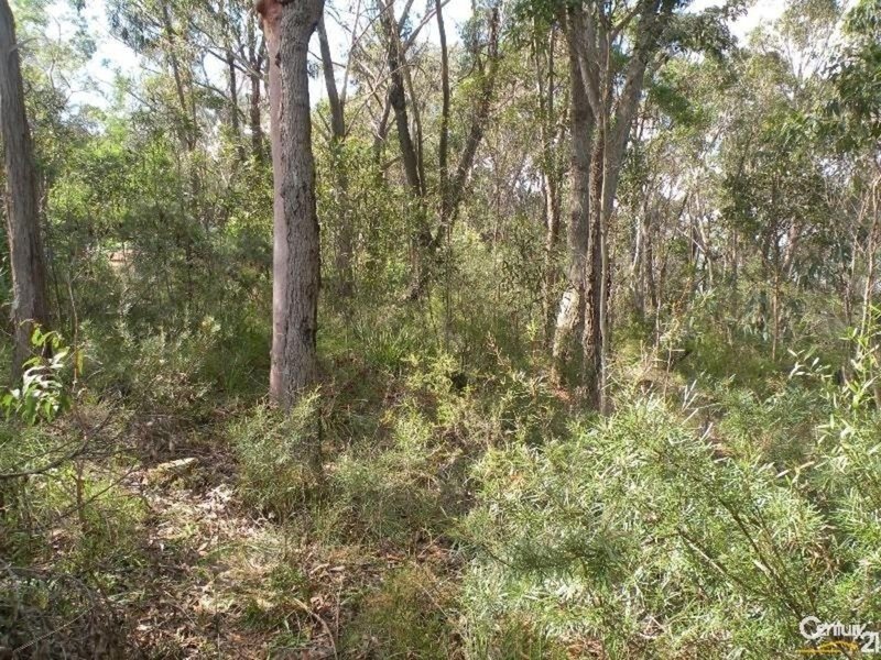 Photo - 96 Boronia Rd , Bullaburra NSW 2784 - Image 5