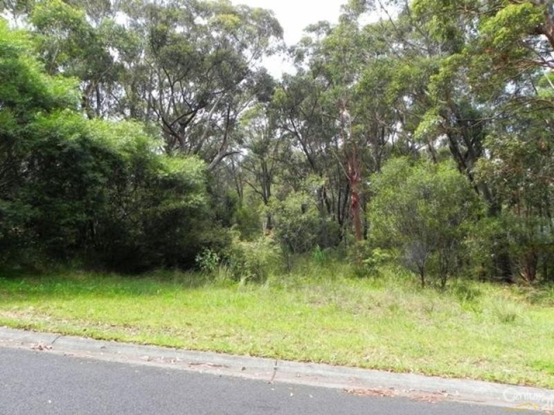 Photo - 96 Boronia Rd , Bullaburra NSW 2784 - Image 7