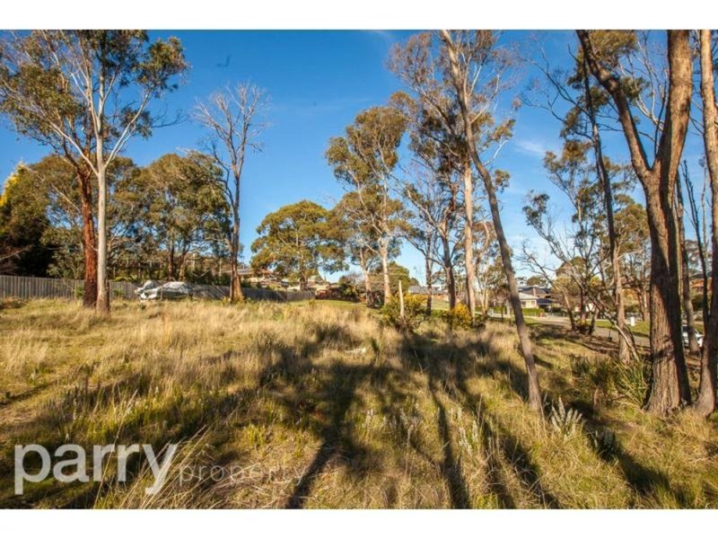 96 Brougham Street, West Launceston TAS 7250 Real Estate Industry