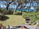 Photo - 96 Cyrus Street, Hyams Beach NSW 2540 - Image 3