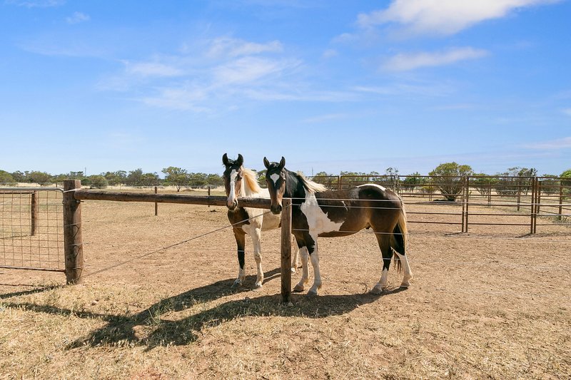 Photo - 96 Fairfield Road, Kadina SA 5554 - Image 18