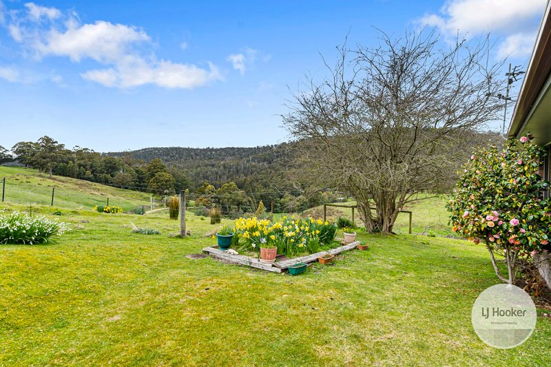 Photo - 96 Halls Track Road, Sandfly TAS 7150 - Image 21