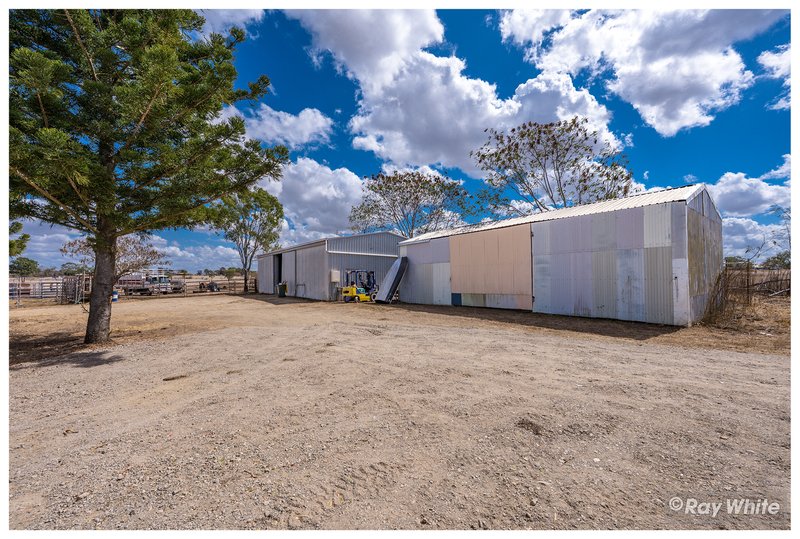 Photo - 96 Hunt Road, Alton Downs QLD 4702 - Image 19