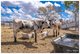 Photo - 96 Hunt Road, Alton Downs QLD 4702 - Image 20