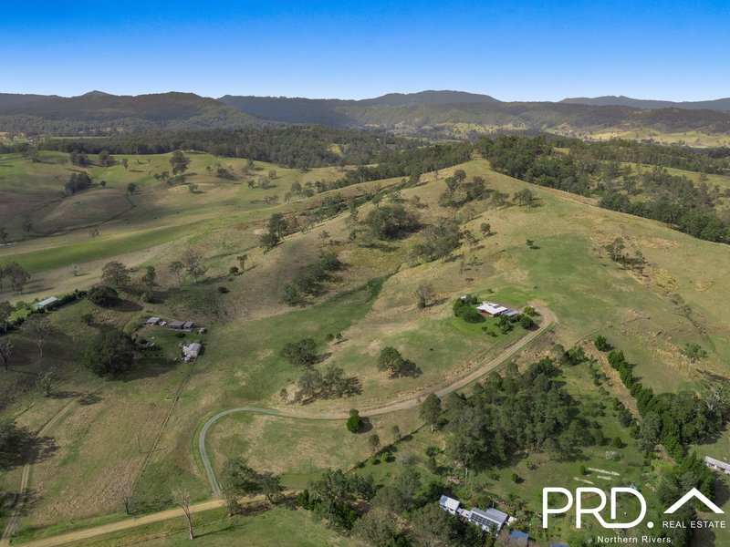 Photo - 96 Killaloe Road, Kyogle NSW 2474 - Image 33