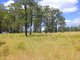 Photo - 96 Lodge Road, Lovedale NSW 2325 - Image 5