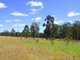 Photo - 96 Lodge Road, Lovedale NSW 2325 - Image 6