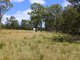 Photo - 96 Lodge Road, Lovedale NSW 2325 - Image 7