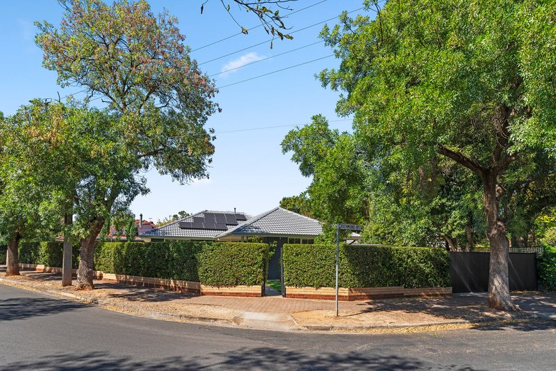 Photo - 96 Richmond Road, Hawthorn SA 5062 - Image 2