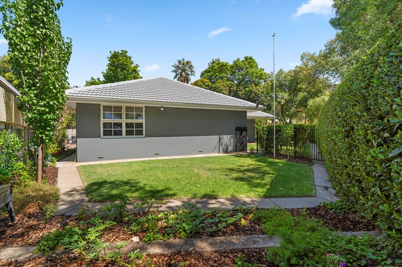 Photo - 96 Richmond Road, Hawthorn SA 5062 - Image 6