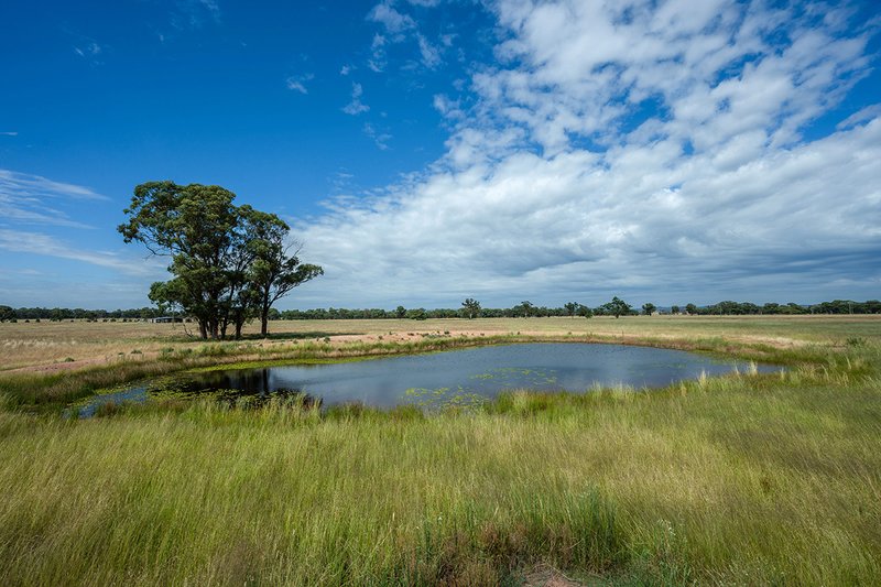 96 Stubbo Road, Gulgong NSW 2852