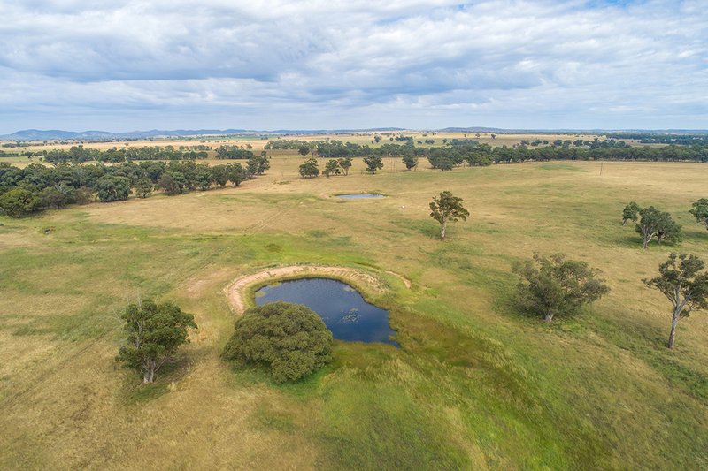 Photo - 96 Stubbo Road, Gulgong NSW 2852 - Image 4